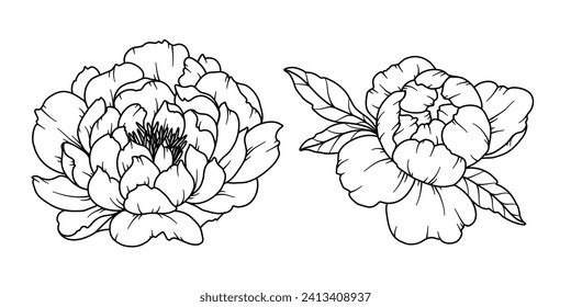 Peony Line Drawing. Black and white Floral Bouquets. Flower Coloring Page. Floral Line Art. Fine Line Peony illustration. Hand Drawn flowers. Botanical Coloring. Wedding invitation flowers