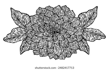 Peony Line Drawing. Black and white Floral Bouquets. Flower Coloring Page. Floral Line Art. Fine Line Peony illustration. Hand Drawn flowers. Botanical Coloring. Wedding invitation flowers.