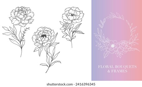 Dibujo de línea peony. Marcos florales y Bouquets. Línea Floral Arte. Línea fina Marcos Peony Mano Ilustración Dibujada. Magnolias de contorno dibujado a mano. Página de Coloración Botánica. Peony Aislado