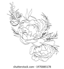 Peony Line drawing. Flower Line art vector. Peonies Botanical logo
