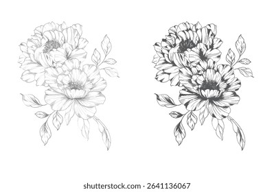 Peony Line Drawing. Trendy floral peony bouquets sketch. Botanical Line Art Peony background. Hand drawn line art peony flowers.  Black and white peonies