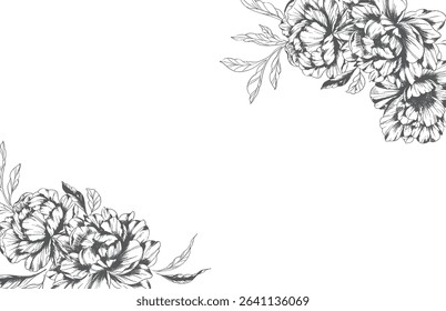 Peony Line Drawing. Trendy floral peony bouquets sketch. Botanical Line Art Peony background. Hand drawn line art peony flowers.  Black and white peonies