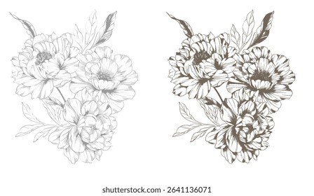 Peony Line Drawing. Trendy floral peony bouquets sketch. Botanical Line Art Peony background. Hand drawn line art peony flowers.  Black and white peonies