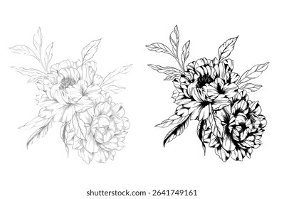 Peony Line Drawing. Trendy floral peony bouquets sketch. Botanical Line Art Peony background. Hand drawn line art peony flowers.  Black and white peonies