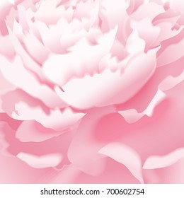 Peony. Macro effect. Vector card. Garden flower hand drawing pastel. Realistic floral illustration - design template luxury packing, wrapping paper. Pink flower on white background. Blurred image.