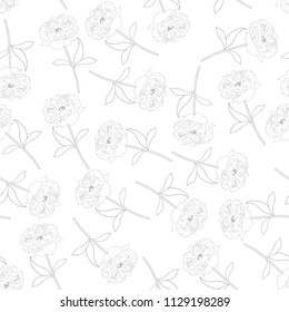 Peony Outline Seamless Background. Vector Illustration.