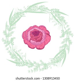 Peony in pastel colors. Wreath of spring herbs. All elements are isolated on white background
