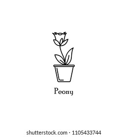peony in pot outline icon. Element of flower icon for mobile concept and web apps. Thin line peony in pot outline icon can be used for web and mobile. Premium icon on white background