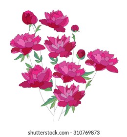 Rote Blume aus Peelings. Bunch einzeln auf weißem Hintergrund. Mit Kontur.