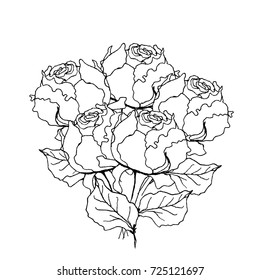 Peony rose bouquet. Liner vector illustration on white background