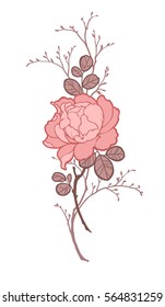 Peony rose flower with branches for decorate. Illustration in light red colors on white background. Can be used for decorate postcards, tattoo, engraving, etching, decorate t-shorts, tunics, bags.