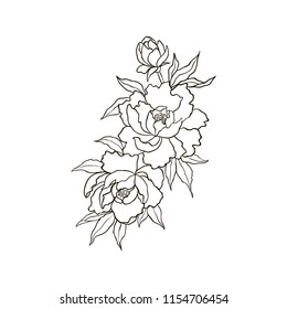 Peony or rose flower with decorative elements. Hand drawn vintage vector Engraving Illustration. Graphic sketch for tattoo, poster, clothes, t-shirt design, pins, badges, stickers and coloring book