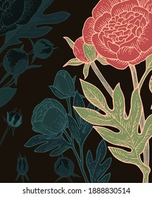 peony, rose flowers. Background illustration. Hand drawing outline. Flowering of garden plants. Abstract plant picture. Vector