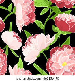 Peony rose flowers detailed vector drawing. Bright fresh spring seamless floral pattern on black background. Red pink green colors. Vector design illustration.