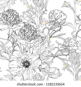 Peony rose  flowers seamless pattern.  Blooming spring summer line flowers illustration. White background.