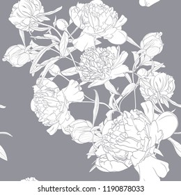 Peony rose  flowers seamless pattern.  Blooming spring summer line flowers illustration. Grey background.