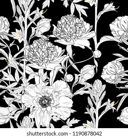 Peony rose  flowers seamless pattern.  Blooming spring summer line flowers illustration. Black background.