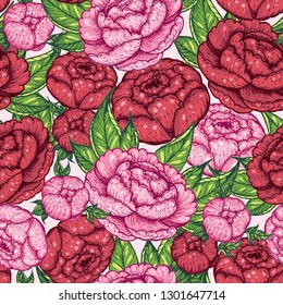 Peony seamless pattern. Peony hand drawn vector illustration. Vintage design. Peonies and leaves illustration. Flower vintage design. Floral illustration.