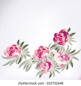 Peony set. Vector illustration