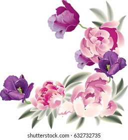 Peony set. Vector illustration