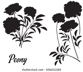 Peony silhouette vector illustration. Bouquet of Peony. Set of flower elements. Part of the flower silhouette series.  Suitable for cutting, print. Template for cutting, greeting card, decoration.