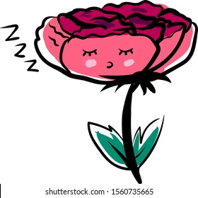 Dormido peony, ilustración, vector sobre fondo blanco.