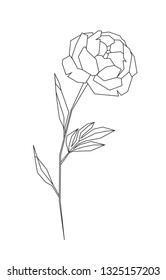 Peony stylized triangle polygonal model