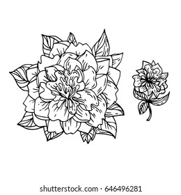 Peony. The symbol of flowering, tattoo, talisman. Boho Style. Bohemian. Vector illustration, isolated. Coloring. The print on the shirt of the cover. A linear pattern. 
Coloring, linear of a flower.