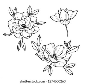 Peony Tattoo Art Line Work