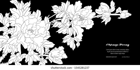Peony tree branch with flowers in the style of Chinese painting on silk Template for wedding invitation, greeting card, banner, gift voucher, label. Black and white vector illustration..