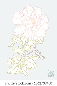 Peony tree branch with flowers in the style of Chinese painting on silk. Elements for design. Colored vector illustration. Isolated on white background..