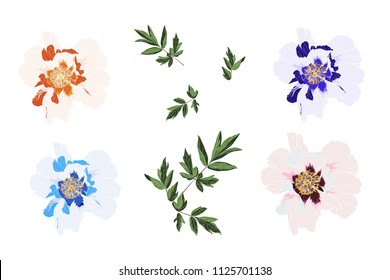 Peony Vector Clip Art Set of 4 orange, pink and blue Flowers and leaves.