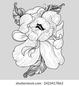 Peony - vector drawing. Flower with leaves on a white background. Tattoo - plant elements. Floral pattern. Use printed materials, signs, objects, websites, maps.