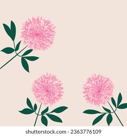 Peony vector flower card square