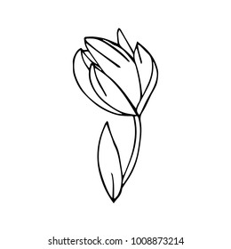 Peony vector illustration. Doodle style. Design, print, logo, decor, textile, paper.