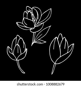 Peony vector illustration. Doodle style. Design, print, logo, decor, textile, paper.