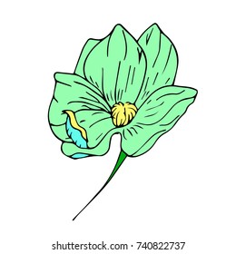 Peony vector illustration. Doodle style. Design, print, logo, decor, textile, paper.