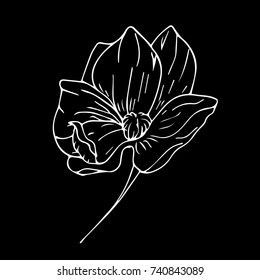 Peony vector illustration. Doodle style. Design, print, logo, decor, textile, paper.