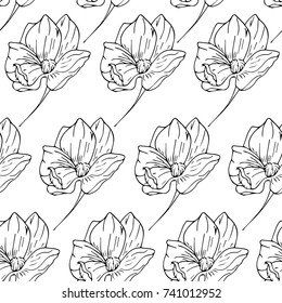 Peony vector illustration. Doodle style. Design, print, logo, decor, textile, paper.