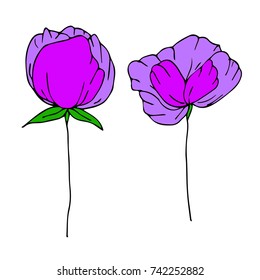 Peony vector illustration. Doodle style. Design, print, logo, decor, textile, paper.