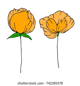 Peony vector illustration. Doodle style. Design, print, logo, decor, textile, paper.