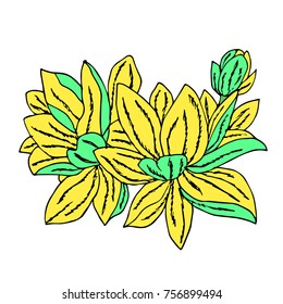 Peony vector illustration. Doodle style. Design, print, logo, decor, textile, paper
