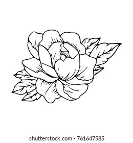 Peony vector illustration. Doodle style. Design, print, logo, decor, textile, paper