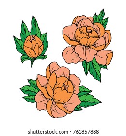 Peony vector illustration. Doodle style. Design, print, logo, decor, textile, paper