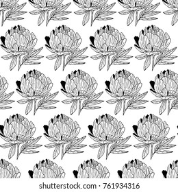 Peony vector illustration. Doodle style. Design, print, logo, decor, textile, paper