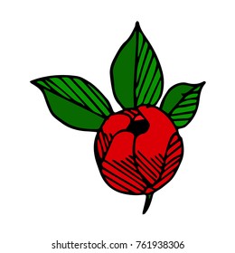 Peony vector illustration. Doodle style. Design, print, logo, decor, textile, paper