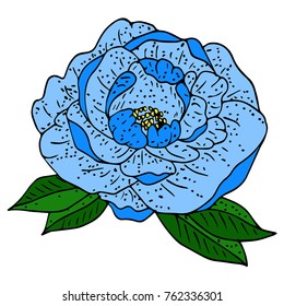 Peony vector illustration. Doodle style. Design, print, logo, decor, textile, paper