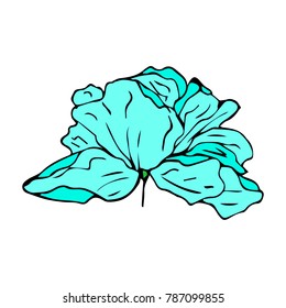 Peony vector illustration. Doodle style. Design, print, decor, textile, paper