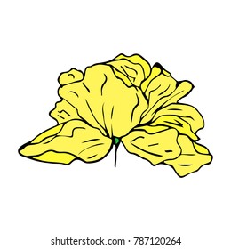 Peony vector illustration. Doodle style. Design, print, decor, textile, paper