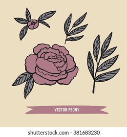 peony vector pattern